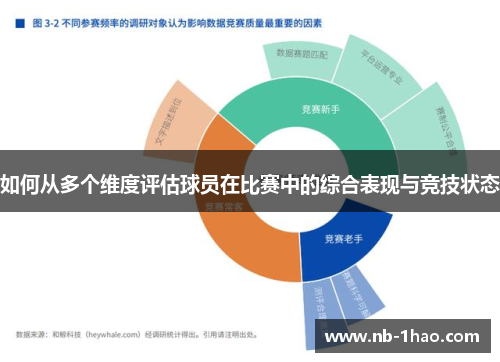 如何从多个维度评估球员在比赛中的综合表现与竞技状态